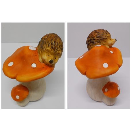 Gomba Sünivel 21Cm 2/S