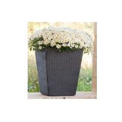 Rattan Hat.Virágtartó M 228975,974