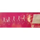 Létra 5 fokos fém, 150 kg teherbírással