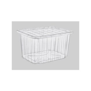 PolyTime Univerzális Box 23L Átlátszó E-662 