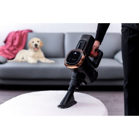 Berlinger Haus Black Rose Collection porszívó BLDC motorral BH-9341