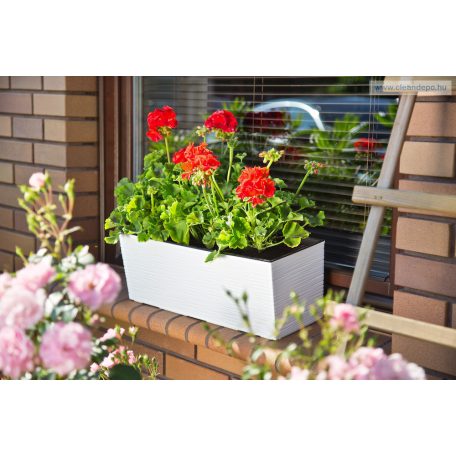 Lamela Begonia Dluto balkonláda 19 x 56 x 18 cm