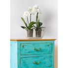 Orchidea Kaspó Luna 35 x 15 cm