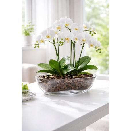 Orchidea Kaspó Luna 35 x 15 cm