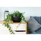 Lamela Eco  Mira Virágkaspó 30 cm