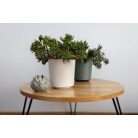 Lamela Gama műanyag virágtartó textil bevonattal 25 cm  012