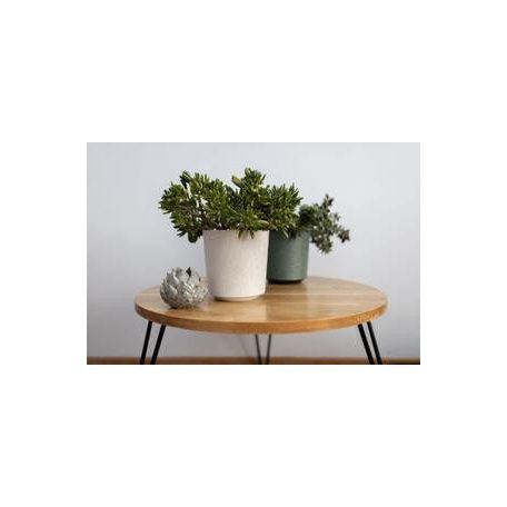 Lamela Gama műanyag virágtartó textil bevonattal 25 cm  012