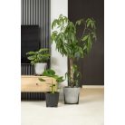 Lamela Virágtartó Kaspó Frida 26 cm 228 