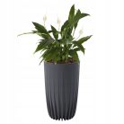 Lamela Mira Virágtartó belső edénnyel  983