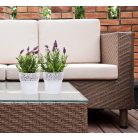 Virágkaspo Csipkeminta 13 Cm