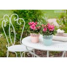 Virágkaspo Csipkeminta 13 Cm