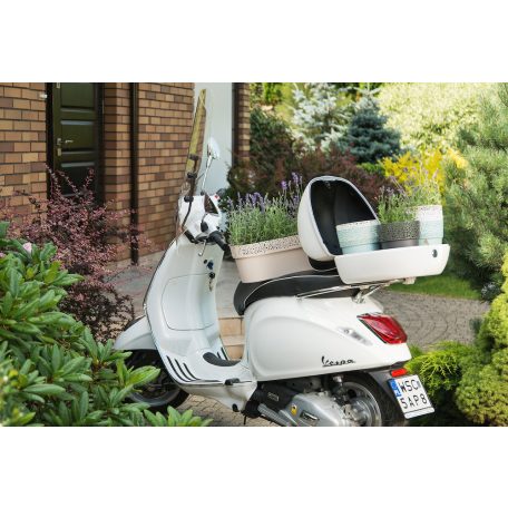 Virágkaspo Csipkeminta 13 Cm