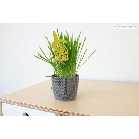 Cserép MANGOLIA JERSEY 16 CM