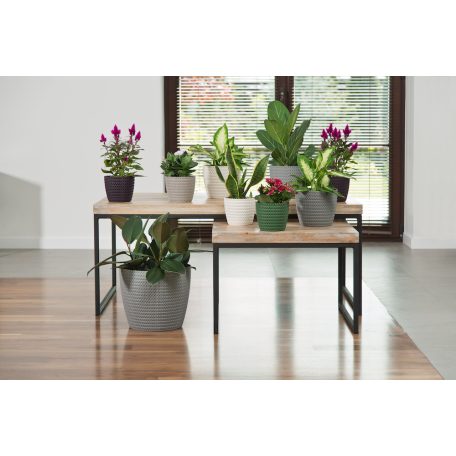 Lamela Virágtartó Kaspó Magnolia Jersey 26 cm 735