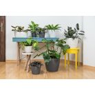 Lamela Virágtartó Kaspó Magnolia Jersey 26 cm 735