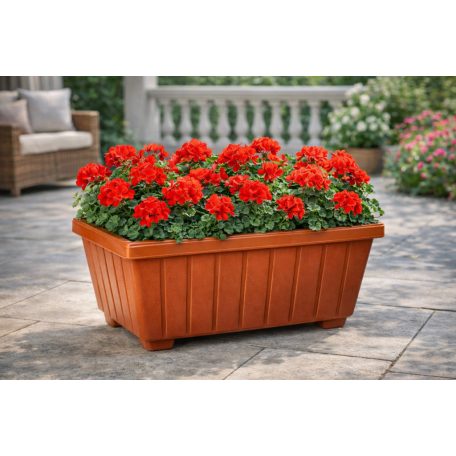 Polka Virágtartó 50 x 30 cm