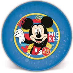 Műa Mickey Joy-Lapostányér 674687