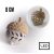 Porc.Led Levél+Makksapi Sá 8 182144