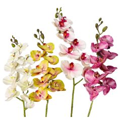 Rchidea Szálas Gumi 9V/4S99 504009