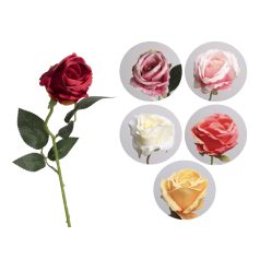 Szálas Rózsa Nyílott 6Sl50 500170