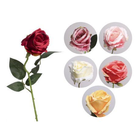 Szálas Rózsa Nyílott 6Sl50 500170