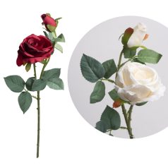 Rózsa Szálas+Bimbó  2V2S55Cm 500171