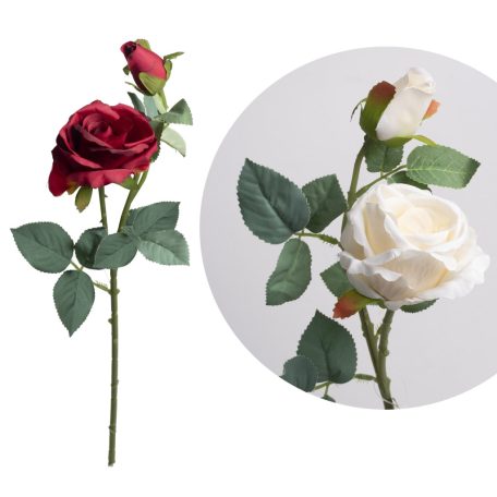 Rózsa Szálas+Bimbó  2V2S55Cm 500171