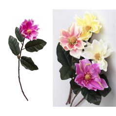 Magnolia Szálas  4S 70Cm 501185