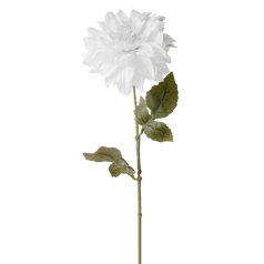 Dália Szálas Fehér(16) 63Cm 503057