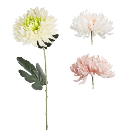 Krizan.Lapos Fej 3S76Cm *** 504034